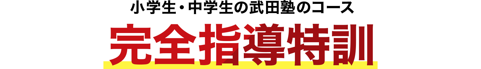 小学生・中学生の武田塾のコース 完全指導特訓